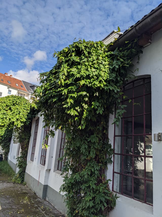 Innenhof